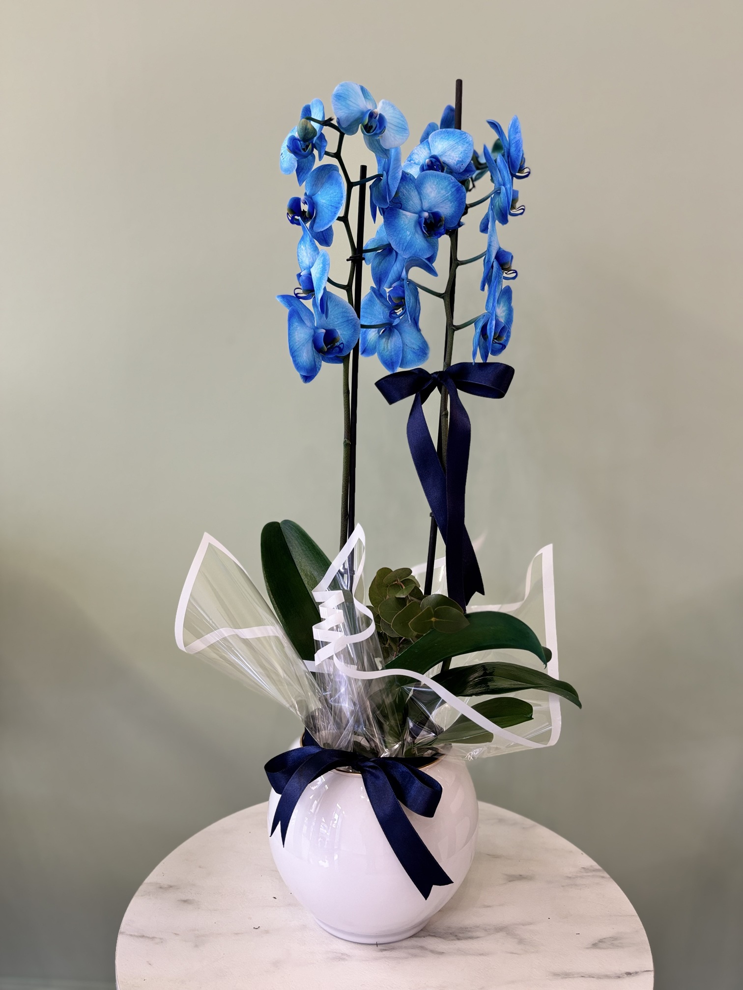 2 Dallı Mavi Orkide