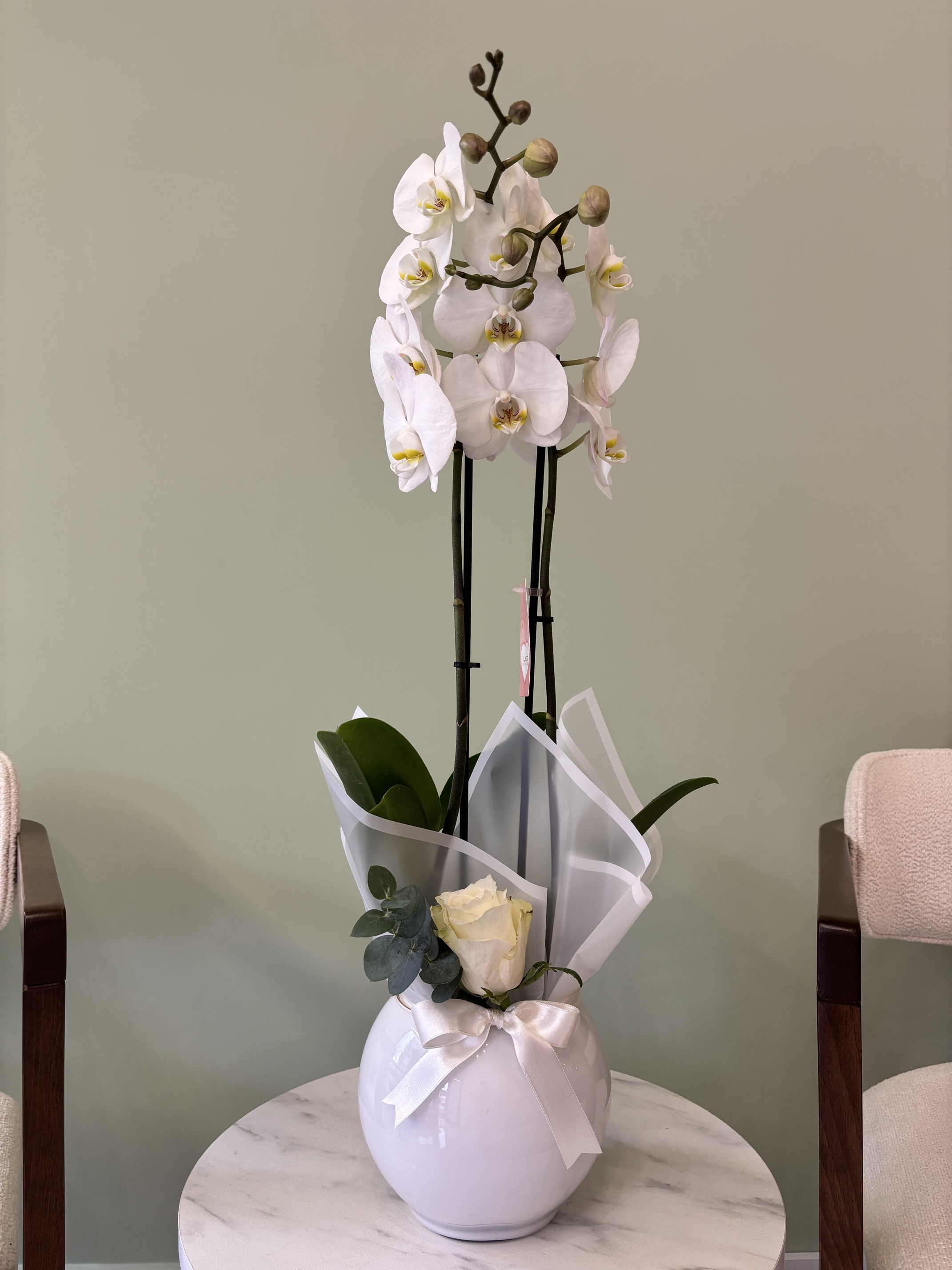 2 Dallı Beyaz Orkide